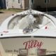 Blue Jay (14 ft) by Allen Boat Company